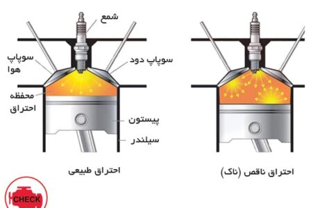 ناک چیست